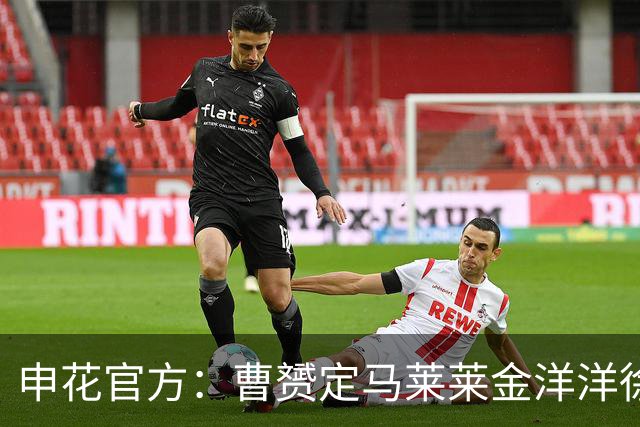 申花官方：曹赟定马莱莱金洋洋徐友刚不再续约